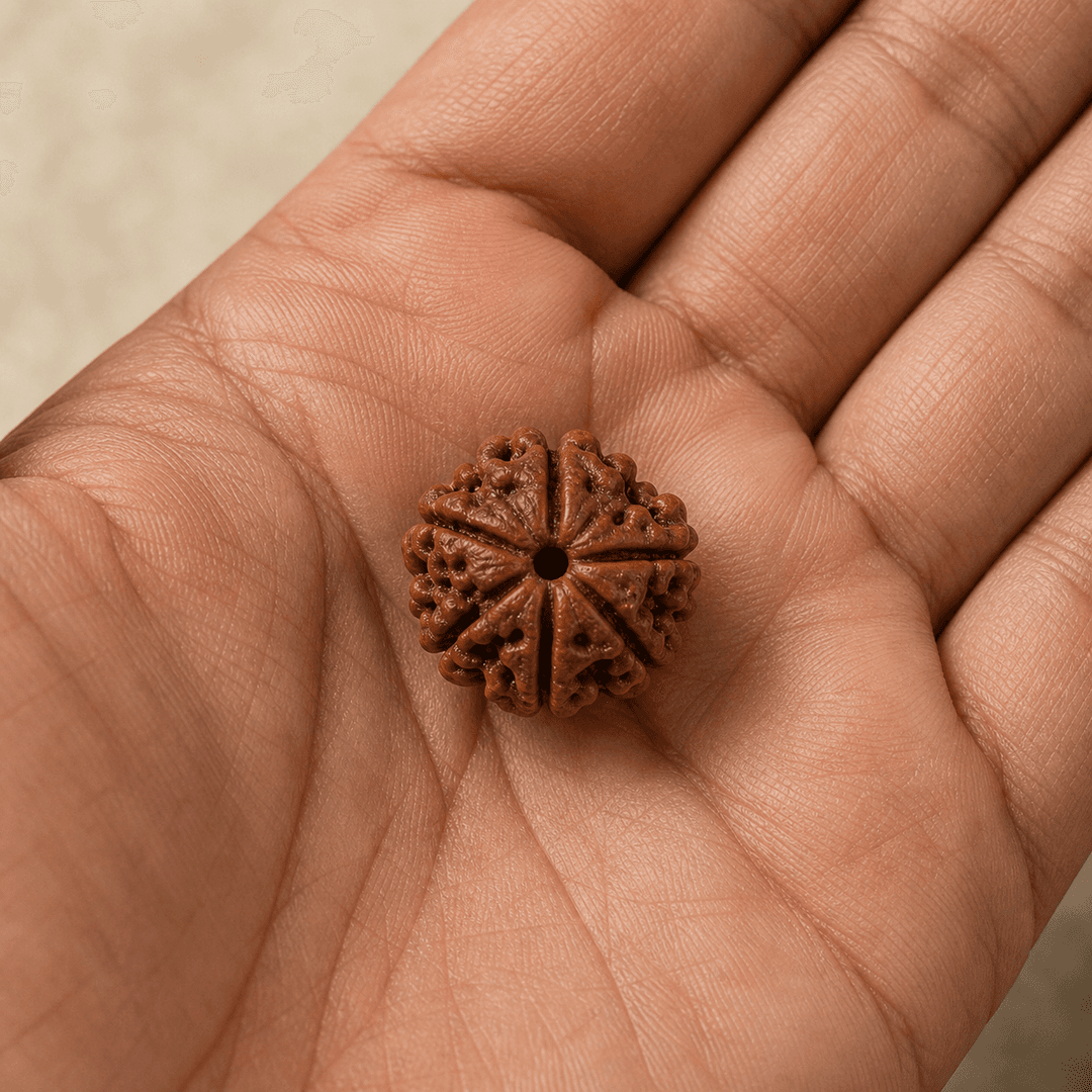 Original 6 Mukhi Nepali Rudraksha Mala / Bead - Premium Quality Sacred Rosary for Focus, Willpower & Success