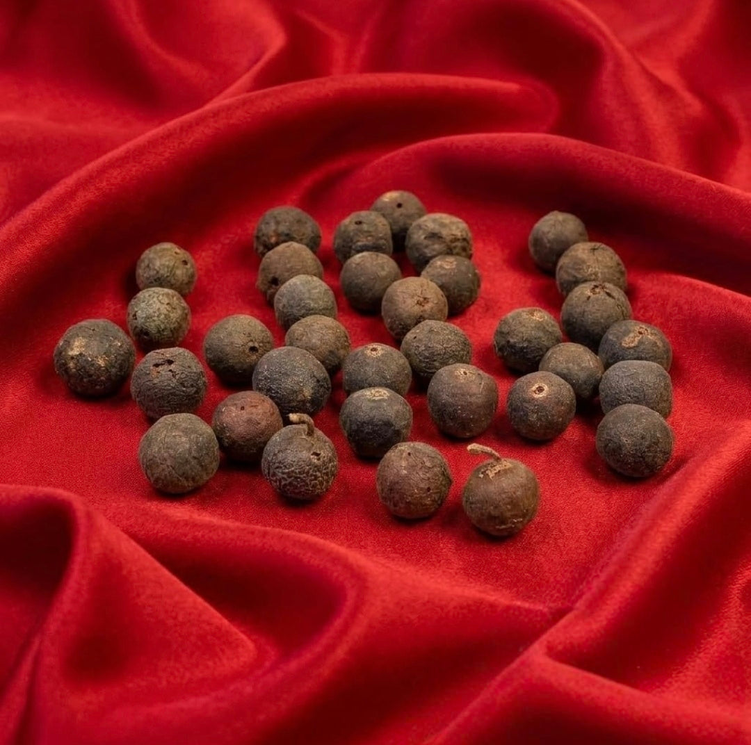 Original Nepal Rudraksha Fruit Real Raw Rudraksh FAL Natural Dried रुद्राक्ष फल Fruit-Tears of Lord Shiva (15, Round)
